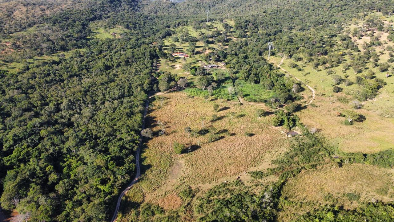 F-90 FAZENDA 50HA ARAÇAI MG