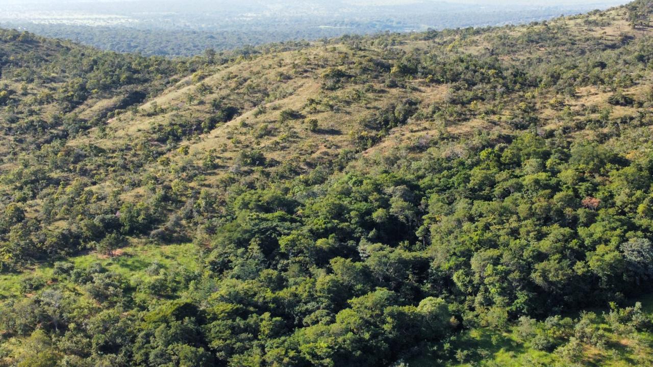 F-90 FAZENDA 50HA ARAÇAI MG