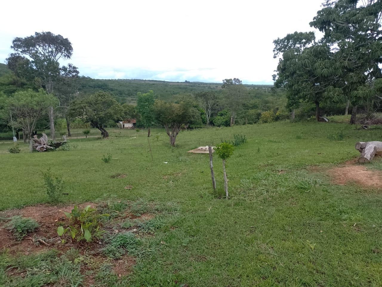 F-90 FAZENDA 50HA ARAÇAI MG