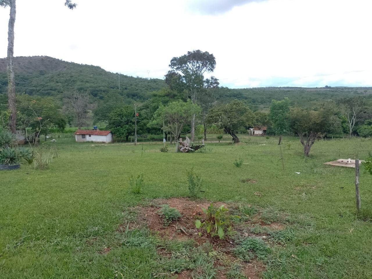 F-90 FAZENDA 50HA ARAÇAI MG