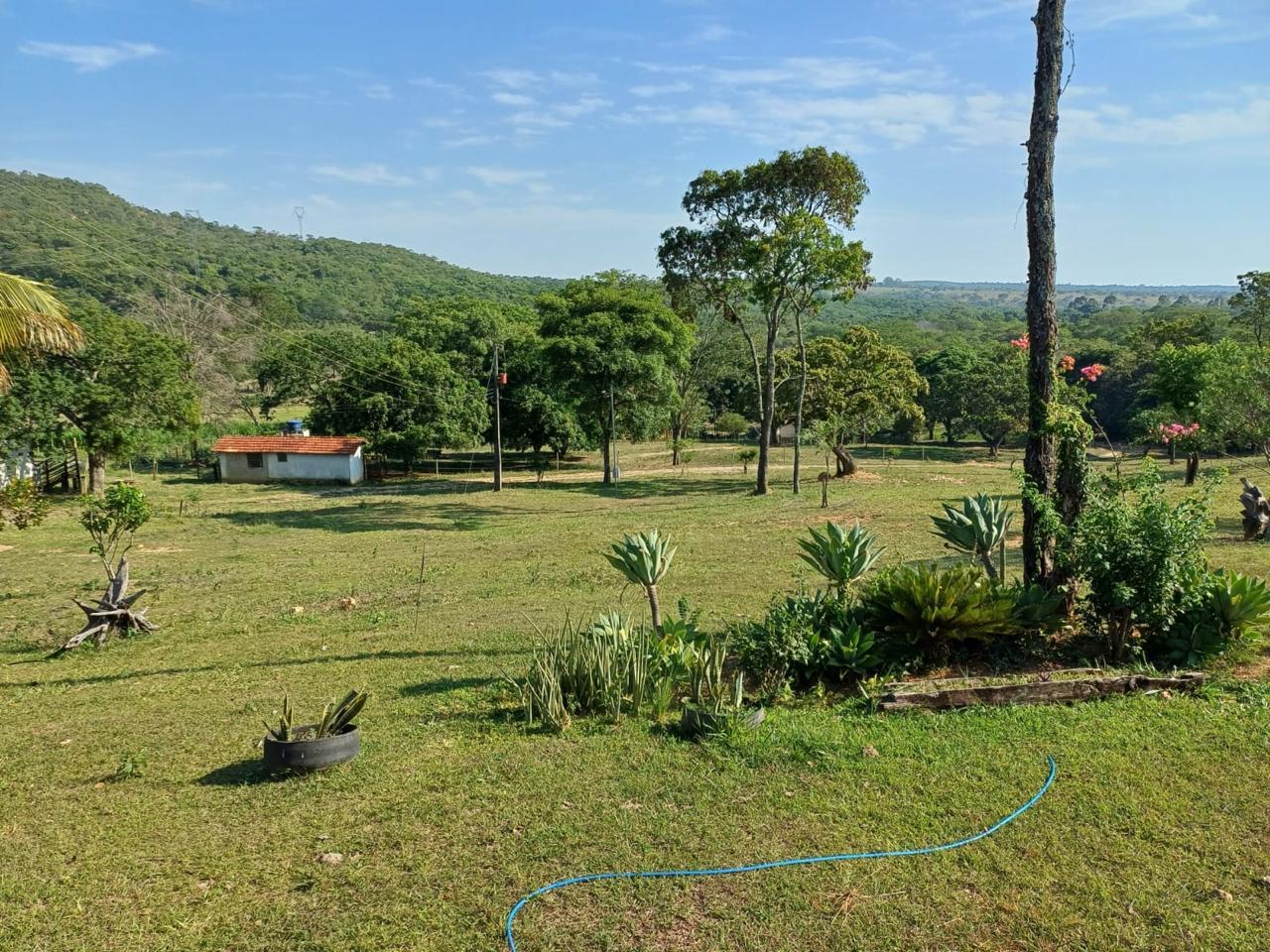 F-90 FAZENDA 50HA ARAÇAI MG