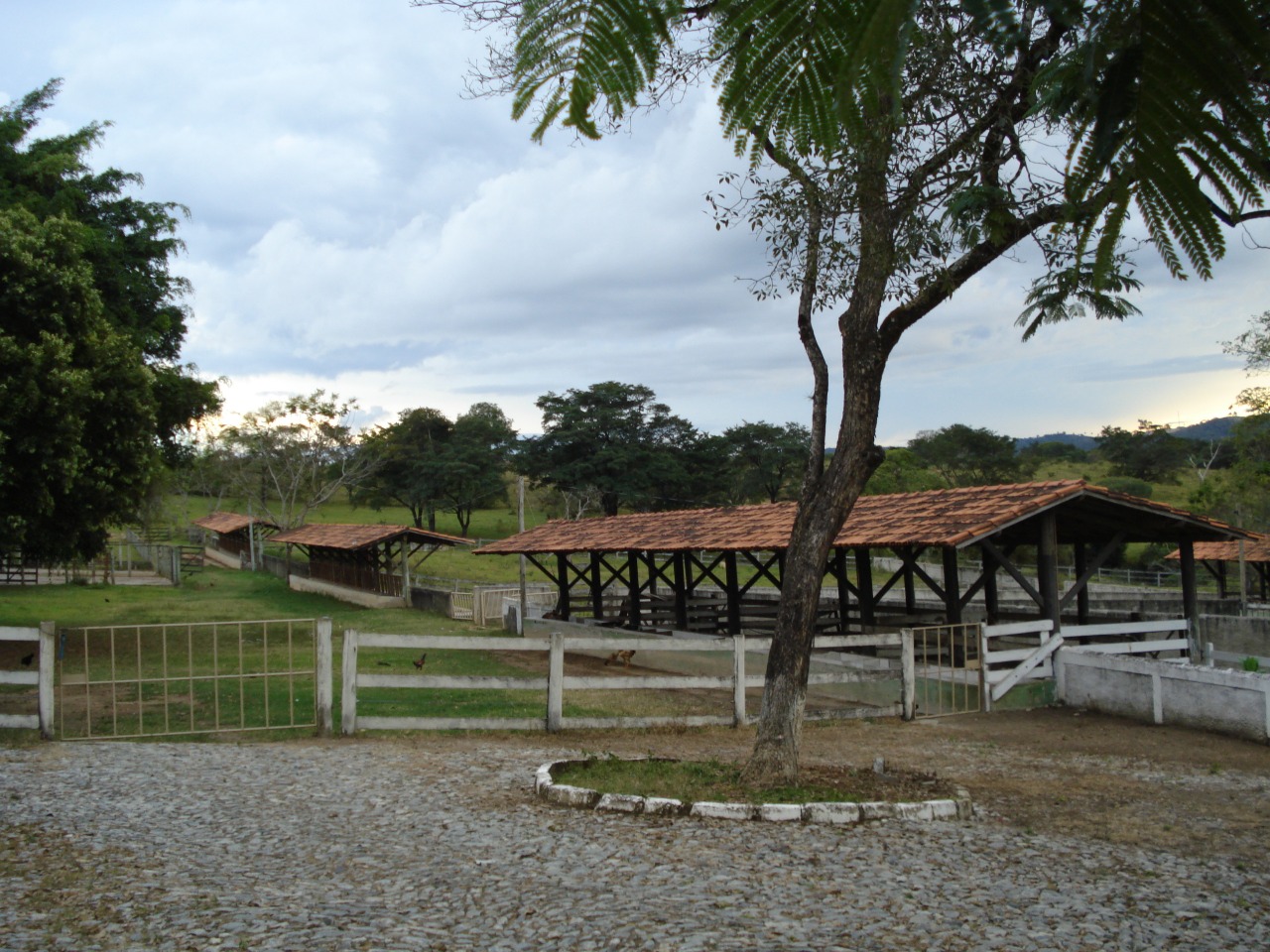F-108 FAZENDA 53 HA PEDRO LEOPOLDO MG
